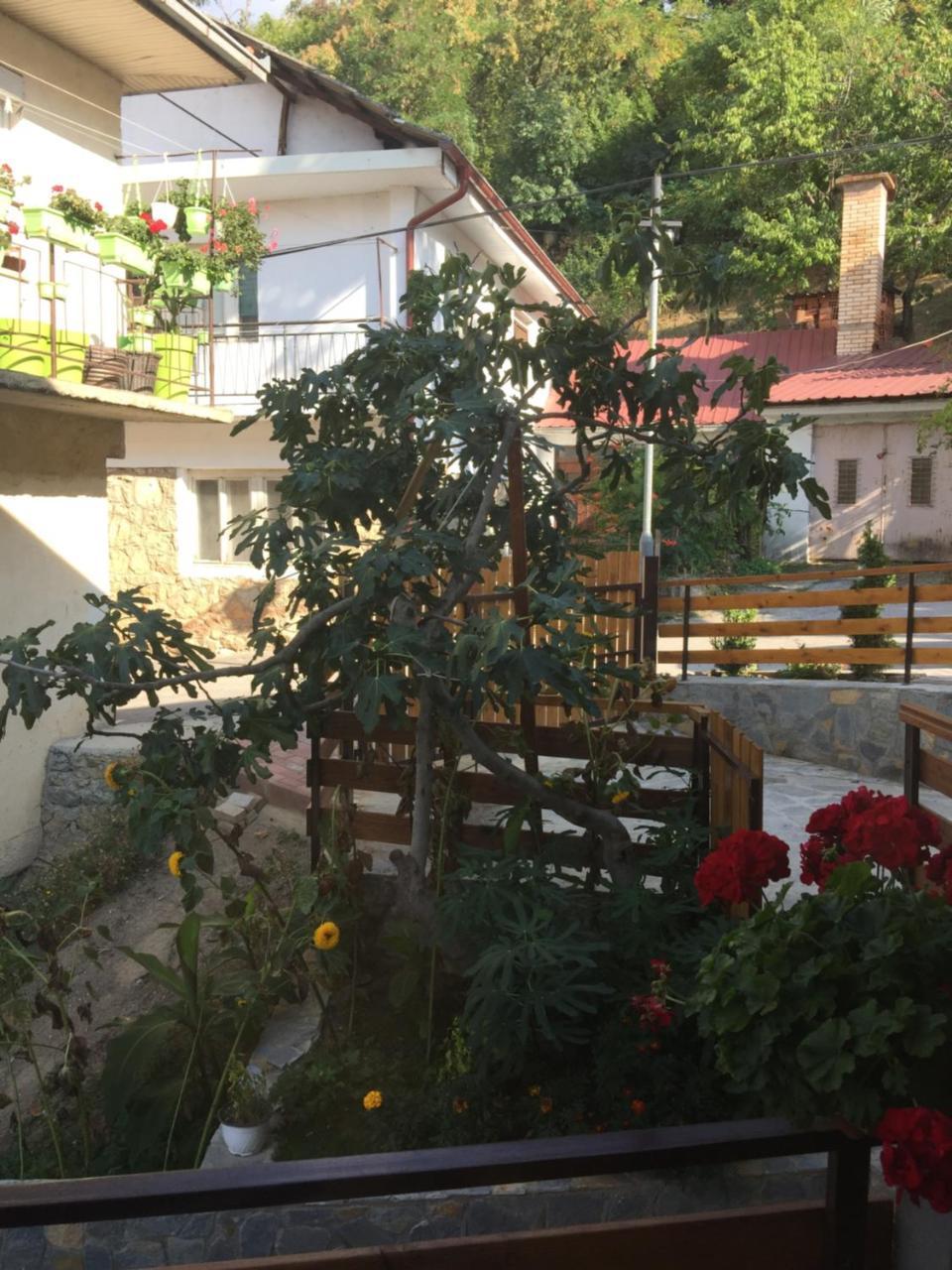 Madox Apartment โอครีด ภายนอก รูปภาพ